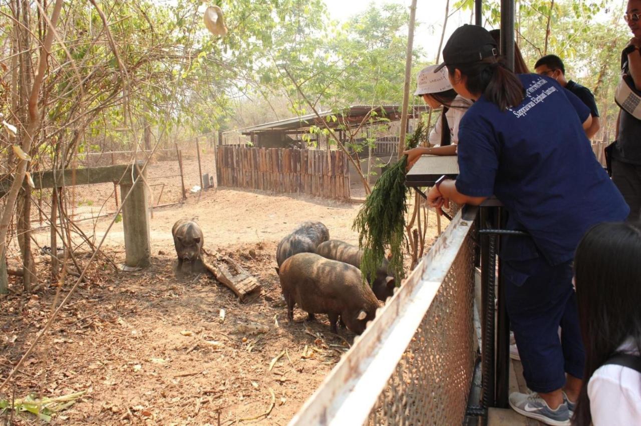Sappraiwan Elephant Resort & Sanctuary Kaengsopha Eksteriør bilde