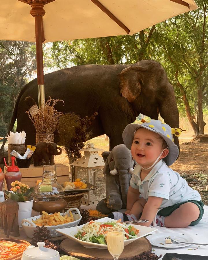 Sappraiwan Elephant Resort & Sanctuary Kaengsopha Eksteriør bilde