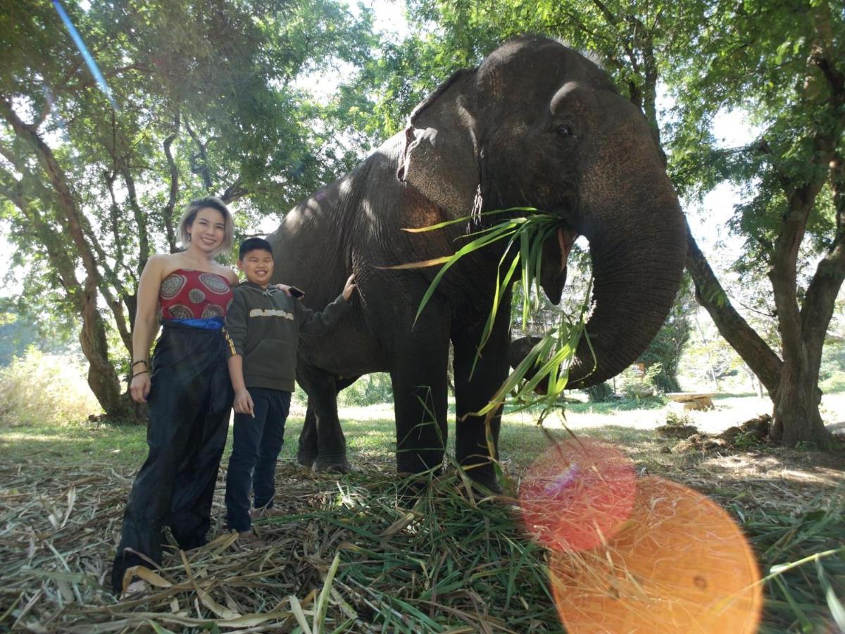 Sappraiwan Elephant Resort & Sanctuary Kaengsopha Eksteriør bilde